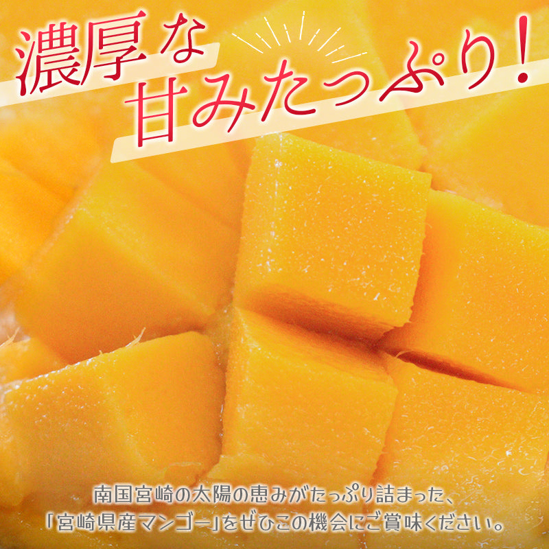 宮崎県産 完熟マンゴー 自宅用 2kg - フルーツ