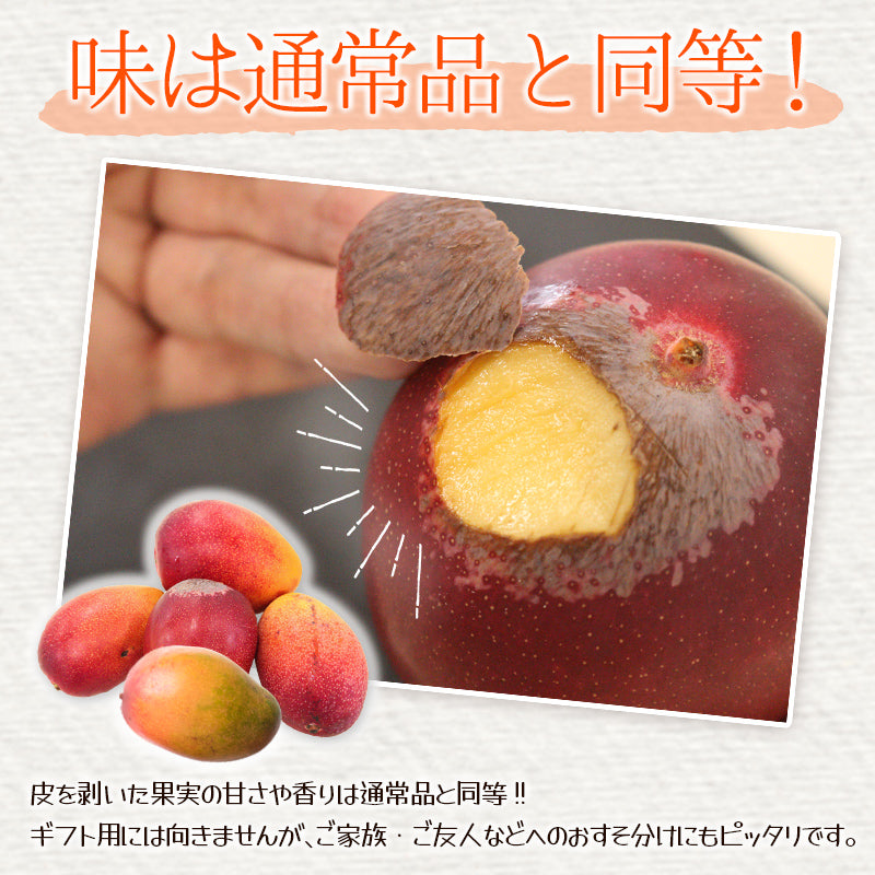 宮崎県産完熟マンゴー2kg(4玉～8玉)