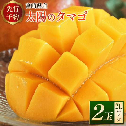 宮崎県産「太陽のタマゴ」2Lサイズ2玉 完熟マンゴー