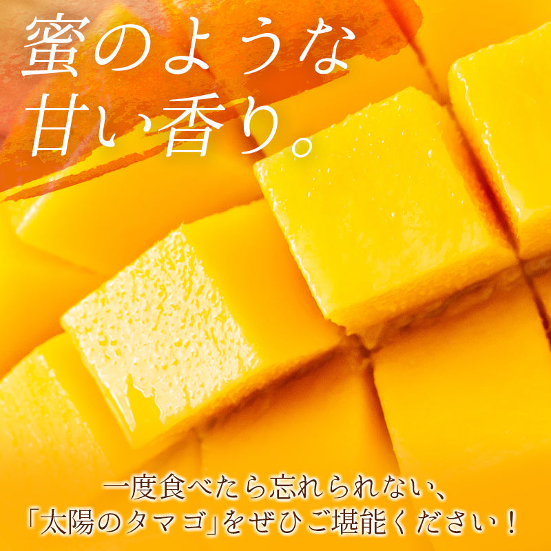 宮崎県産「太陽のタマゴ」2Lサイズ2玉　–　完熟マンゴー　こゆ恋ショップ