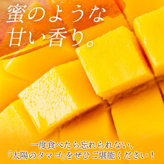 宮崎県産「太陽のタマゴ」2Lサイズ2玉 完熟マンゴー